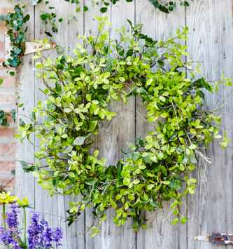 Mixed Foliage Woodys Wreath