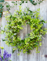 Mixed Foliage Woodys Wreath