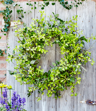 Mixed Foliage Woodys Wreath