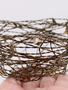 Wire Birds Nest w/ Gold Leaves