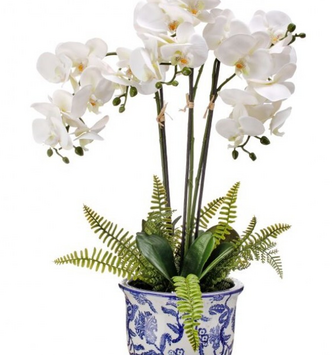 Triple White Phaleanopsis Fern in Ceramic Container
