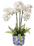 Triple White Phaleanopsis Fern in Ceramic Container