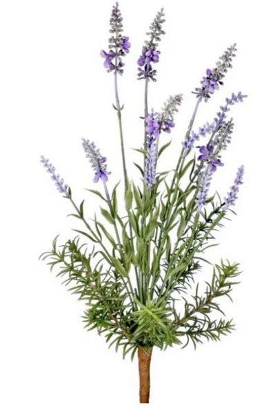 Garden Lavender Bush