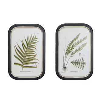 Set of 2 Framed Fern Frond Print