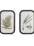 Set of 2 Framed Fern Frond Print