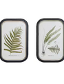 Set of 2 Framed Fern Frond Print