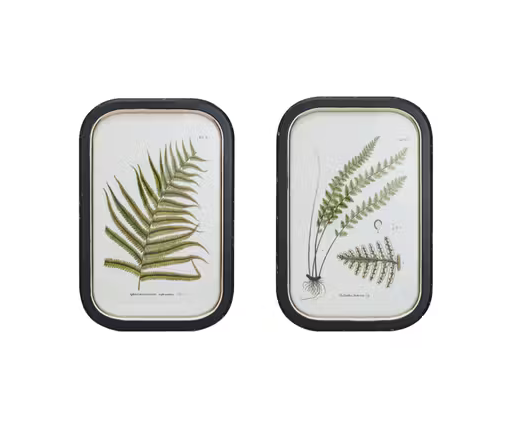 Set of 2 Framed Fern Frond Print