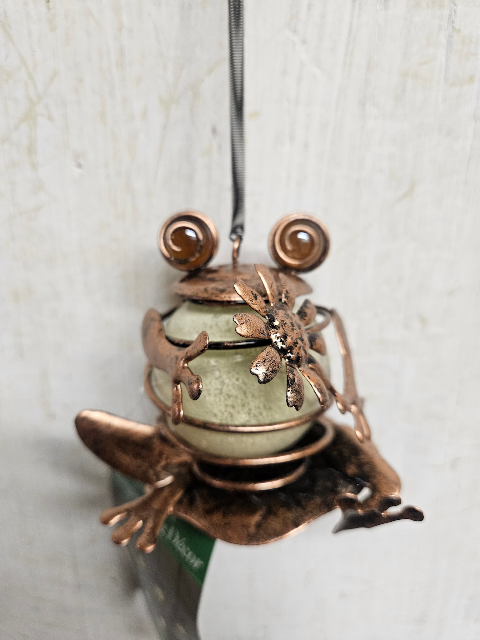 Glow in the Dark Hanging Frog