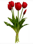 15" Real Touch Tulip Bundle (2-Colors)