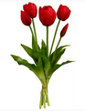 15" Real Touch Tulip Bundle (2-Colors)