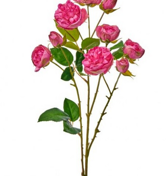 25" Summer Garden Ramblin Rose Stem (3-Colors)