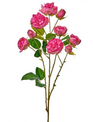 25" Summer Garden Ramblin Rose Stem (3-Colors)