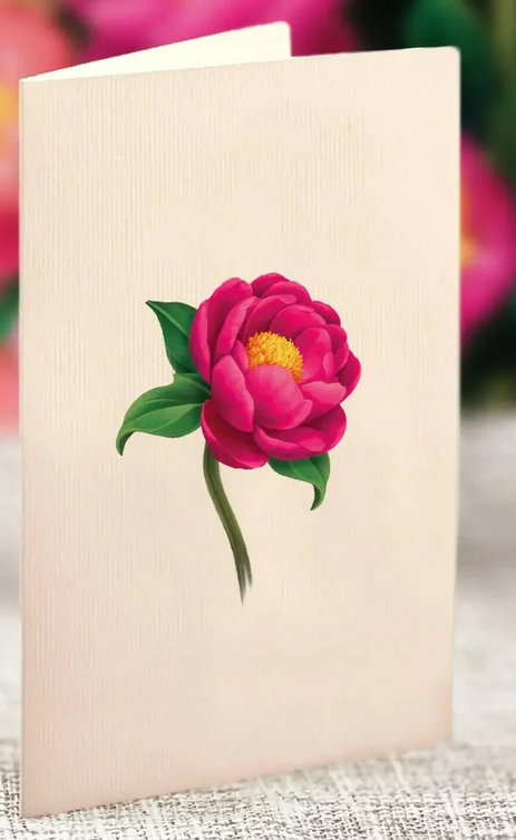 Freshcut Paper Freshcut Paper Mini Pop Up Card (4-Styles)