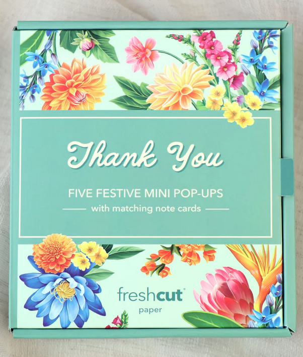 Freshcut Paper Freshcut Paper Mini Box Set of 5 (2-Styles)