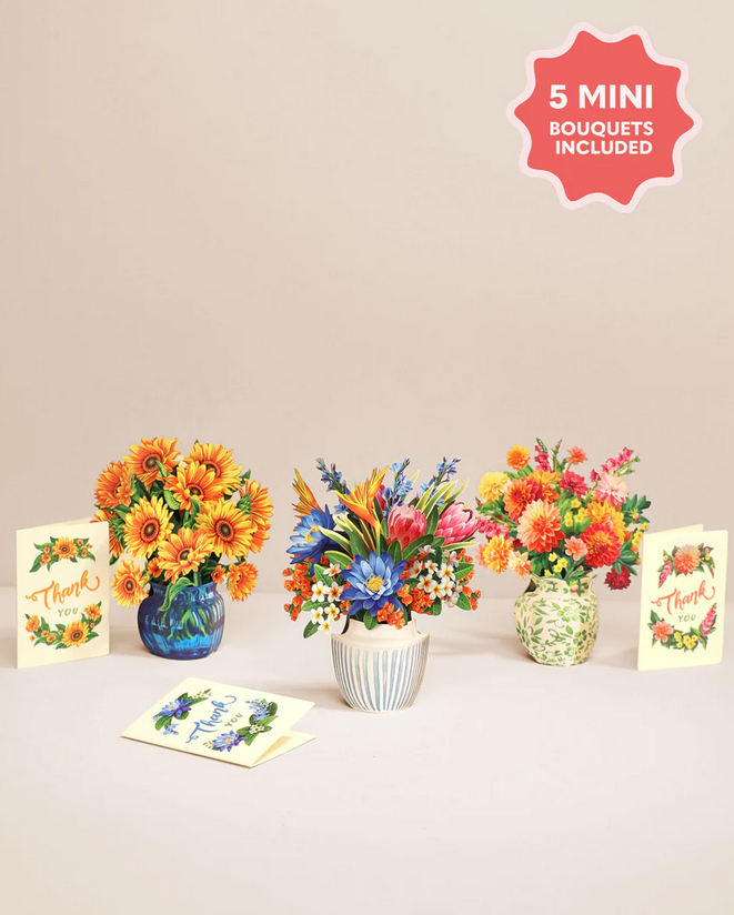 Freshcut Paper Freshcut Paper Mini Box Set of 5 (2-Styles)