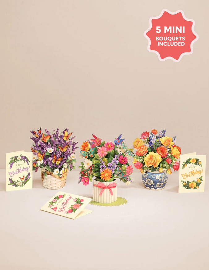 Freshcut Paper Freshcut Paper Mini Box Set of 5 (2-Styles)