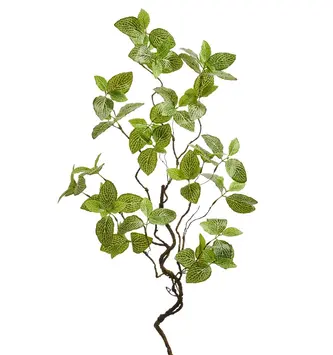 34" Fittonia Twig Spray