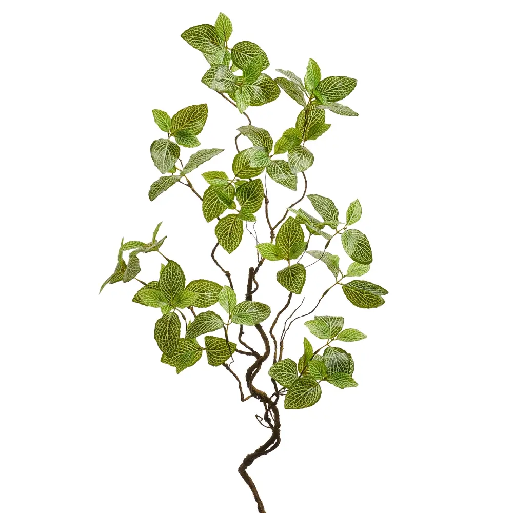 34" Fittonia Twig Spray