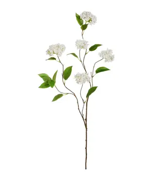 White Snowball Hydrangea Branch