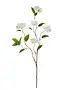 White Snowball Hydrangea Branch