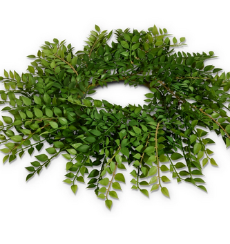 18" Natural Ruscus Candle Ring