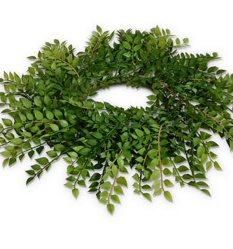 18" Natural Ruscus Candle Ring