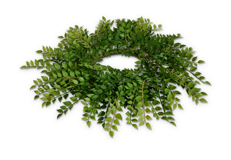 18" Natural Ruscus Candle Ring