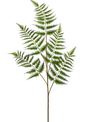 42.5" Large Fern Spray