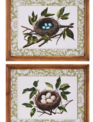 13.75" Tiny Treasures Framed Art (2-Styles)