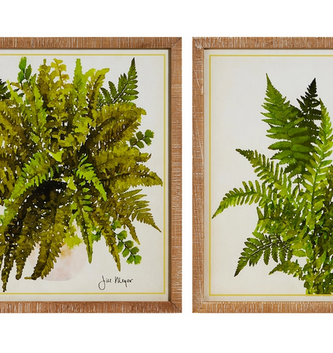 Set of 2 Farmhouse Fern Framed Wall Art