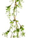 5-ft White Flowering Garland