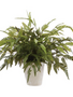 20" Potted Leather Leaf Fern