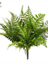 UV Protected Tall Boston Fern Fiddleheads