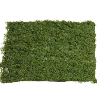 39" x 39" Moss Sheet