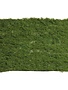 39" x 39" Moss Sheet
