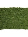 39" x 39" Moss Sheet