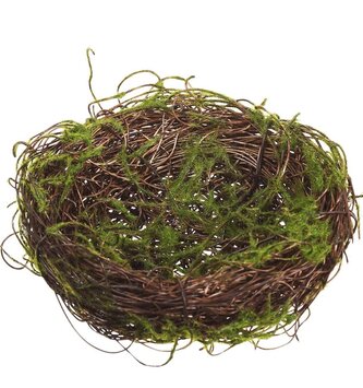 Moss Covered Birds Nest