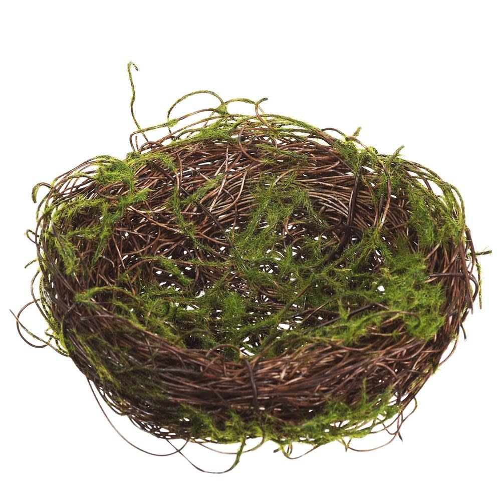 Moss Covered Birds Nest