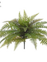 27" UV Protected Leather Fern Bush