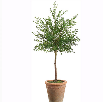 23" UV Protected Myrtle Topiary