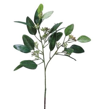 18" Seeded Eucalyptus Spray