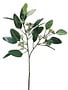 18" Seeded Eucalyptus Spray