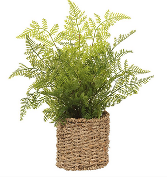 15" Leather Fern in Basket