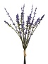 Tiny Lavender Bundle