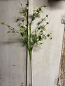 44" Rose Myrtle Stem (2-Colors)