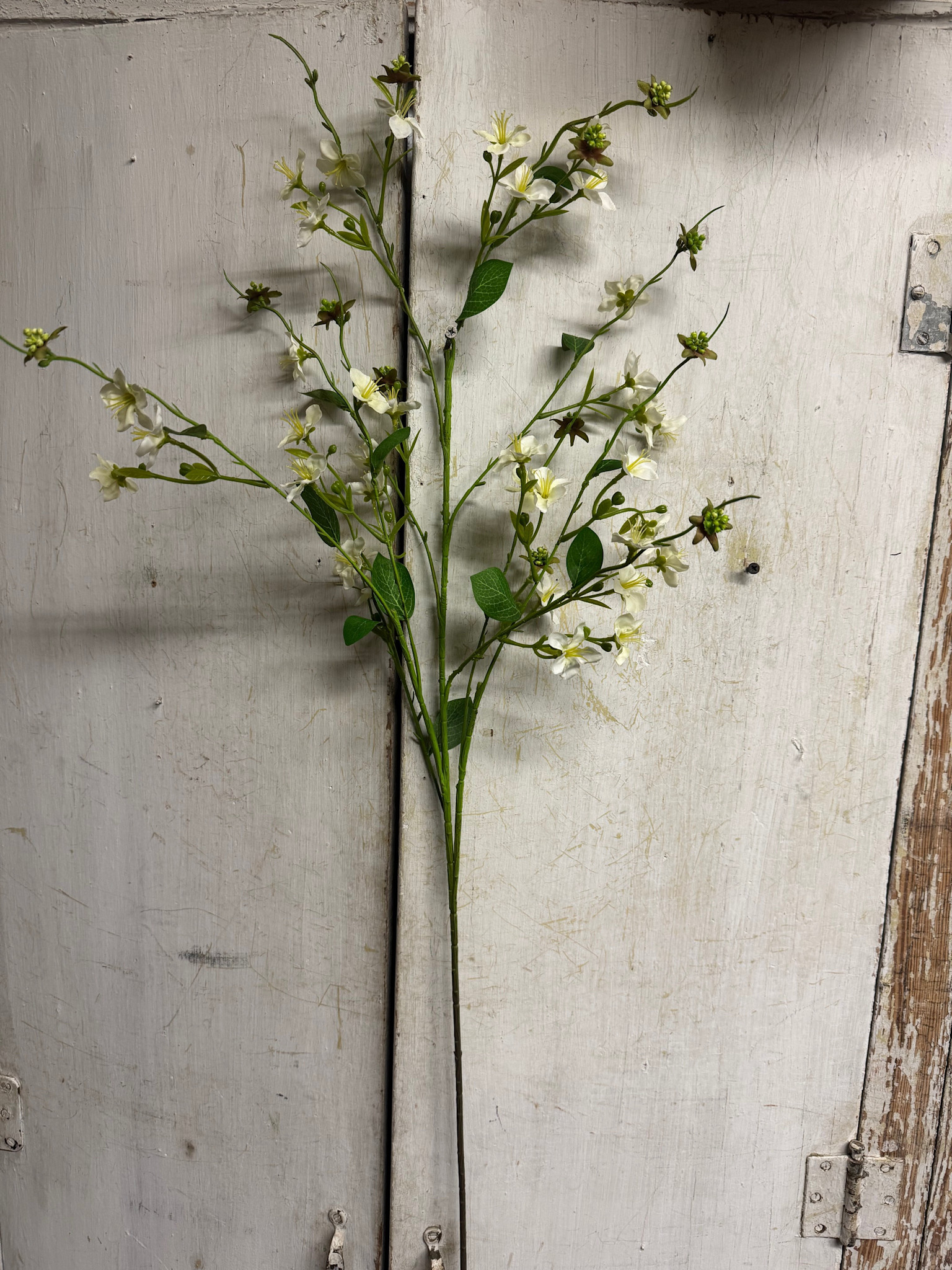 44" Rose Myrtle Stem (2-Colors)