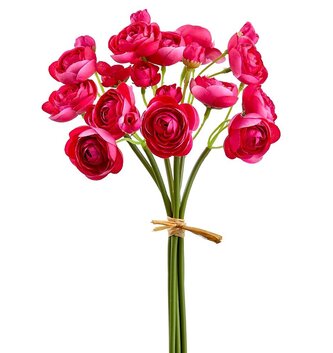 Mini Ranunculus Bundle (3-Colors)