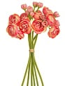 Mini Ranunculus Bundle (3-Colors)