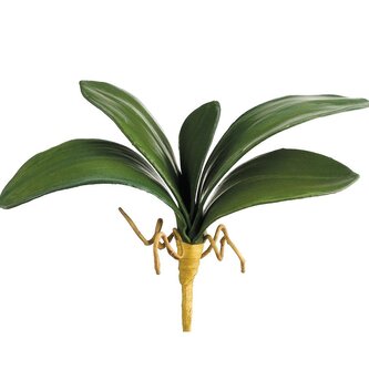 13" Phalaenopsis Leaf Spray