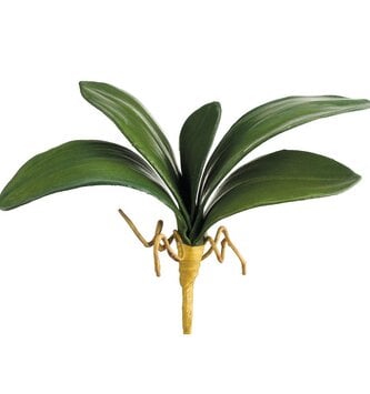 13" Phalaenopsis Leaf Spray